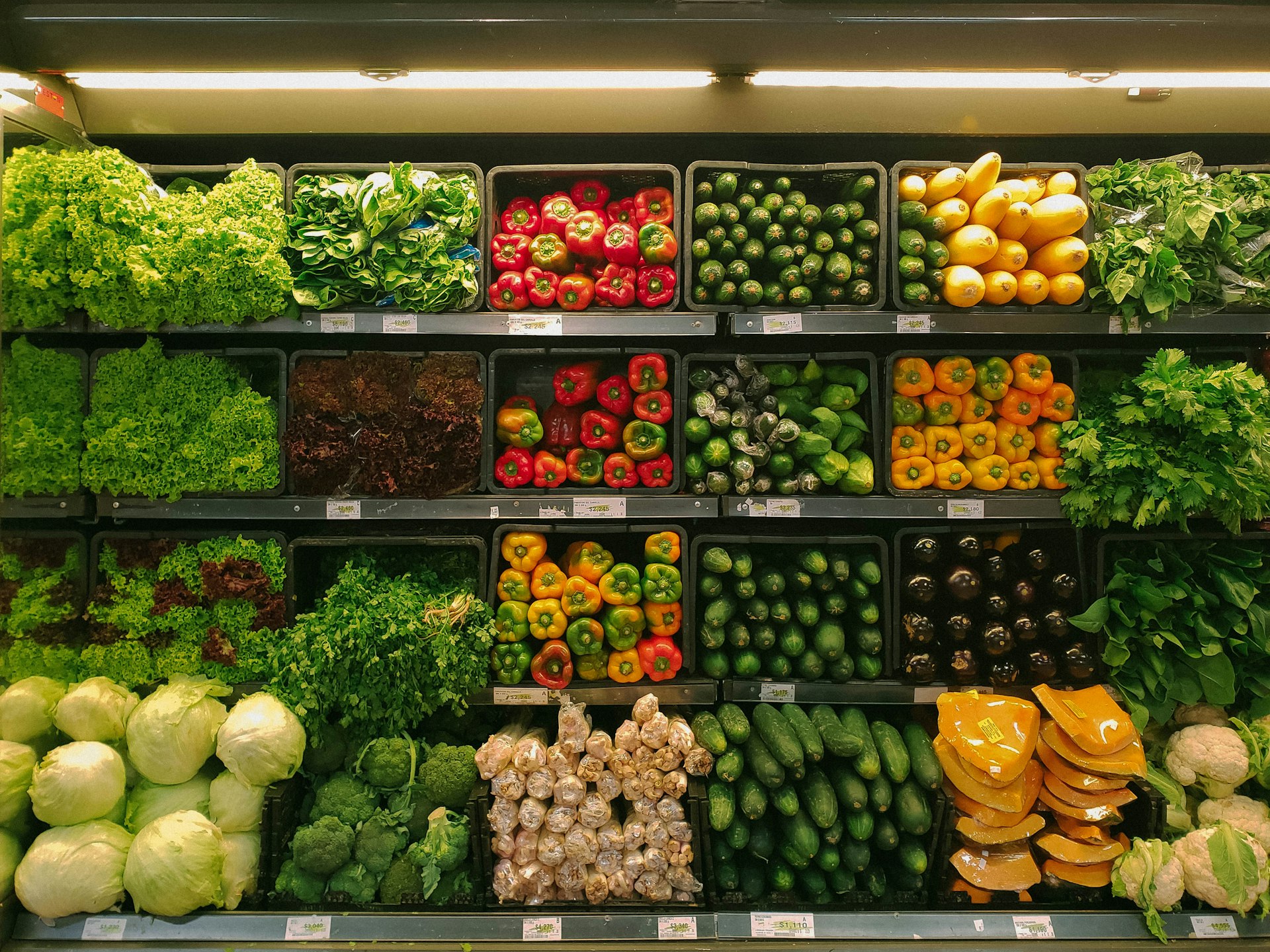 Grocery Wholesale
